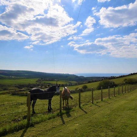 Вилла 1 Bed In Boscastle Lpenc Экстерьер фото
